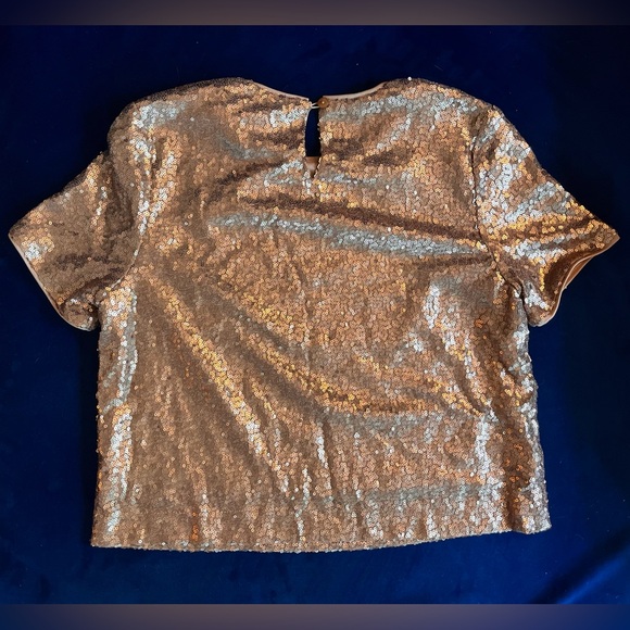 Forever 21 Small rose gold/copper sequin crop top - Picture 3 of 4